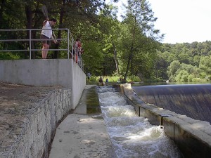 2001.07.22 14.17.15.jpg